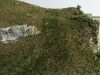 Hillside